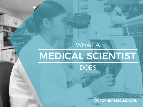 What Does A Medical Scientist Do Top Nursing School