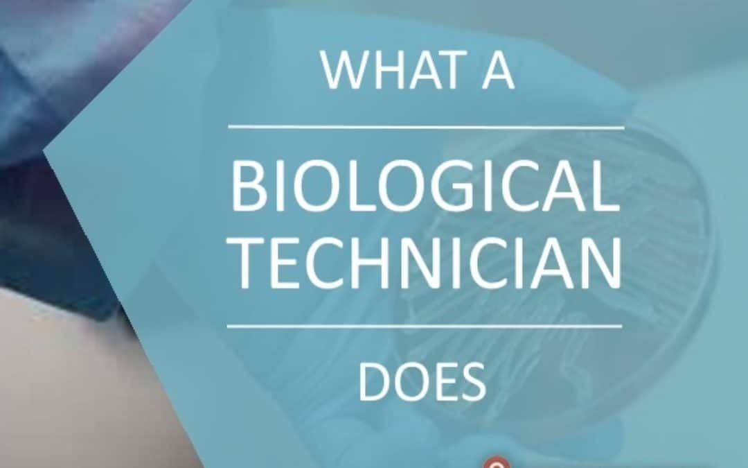 what a biological technician does
